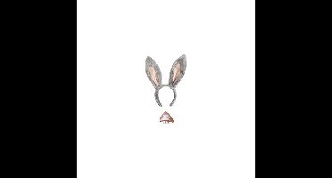 Ezel verkleed set - 2-delig - diadeem en snuit - dieren verkleed accessoires