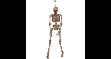 Horror/Halloween decoratie skelet/geraamte pop - hangend - 106 cm