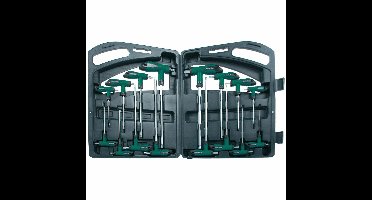 Inbus en torx sleutelset met T-greep 16-delig - chroom vanadium staal