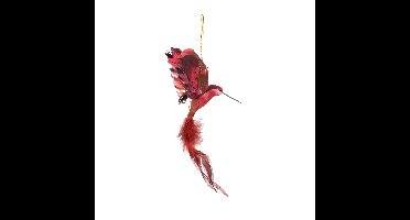 Kersthanger kolibrie vogel - rood - 18 cm - kunststof - kerstornamenten