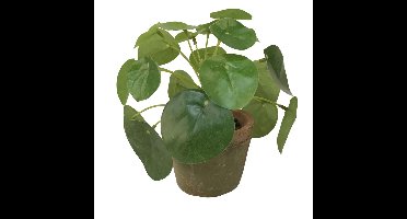 Kunstplant pilea/pannekoekplant - mini - groen - in pot - 13 cm
