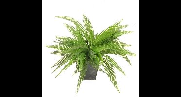 Kunstplant - varen - groen - 33 cm - kunst kamerplant