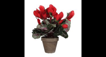 Mica Decorations Kunstplant - cyclaam - rood - in pot - 30 cm