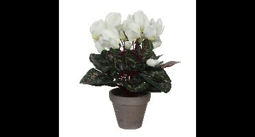 Mica Decorations Kunstplant - cyclaam - wit - in pot - 30 cm