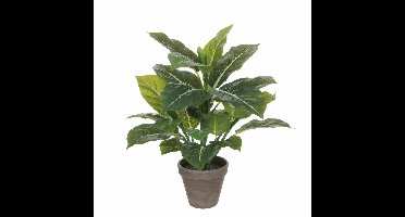 Mica Decorations Kunstplant - philodendron - groen - 49 cm