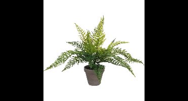 Mica Decorations Kunstplant - varen - groen - 36 x 40 cm