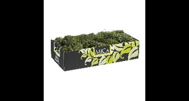 Mica Decorations Rendiermos - 500 gram - donkergroen - hobby mos