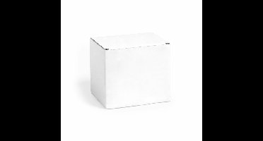 Opbergdoosje/geschenkdoosje - karton - wit - 12 x 10,6 x 9 cm