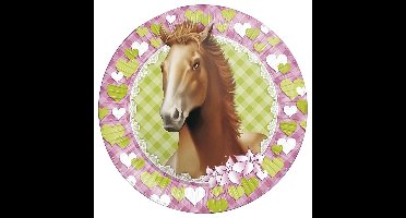 Paarden themafeest wegwerpbordjes - 16x - 23 cm