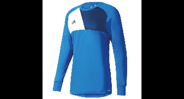 Adidas Goalkeeper Jersey Assista 17