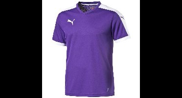 Puma Pitch Shortsleeved Shirt