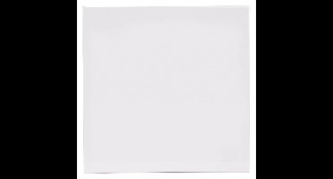 Benson Schildersdoek - 40 x 40 cm - blanco canvas - katoen - 280 grams