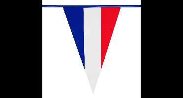 Boland France / Frankrijk Thema vlaggenlijn - vlaggetjes - kunststof - 10 meter