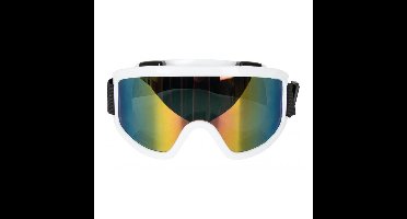 Carnaval/verkleed Apres Ski bril - wit - volwassenen - kunststof - party brillen