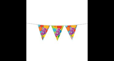 Leeftijd verjaardag thema vlaggetjes 8 jaar plastic 10 meter