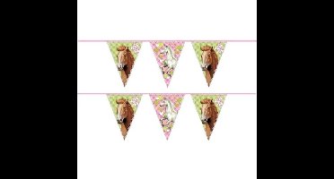 Paarden vlaggenlijn - 2x - 6 meter - plastic - themafeest paarden - versiering - slinger