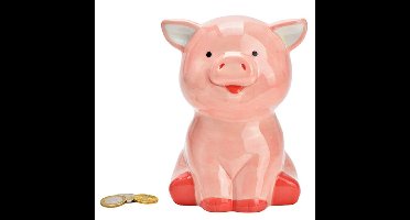 Spaarpot varken - voor kinderen - keramiek - grijs - 16 x 12 x 10 cm - geld sparen