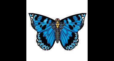 Vlinder vlieger blauw 71 cm breed/wijd - nylon