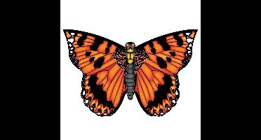 Vlinder vlieger - oranje - B71 cm - nylon