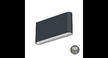 LED Wandlamp Callisto Antraciet- Kleur instelbaar - 10 Watt - IP65