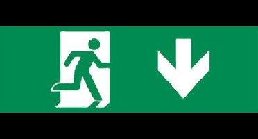 Noodverlichting richting Pijl Omlaag 300x100mm - Sticker