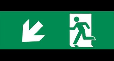 Noodverlichting richting Pijl Links Omlaag 300x100mm - Sticker