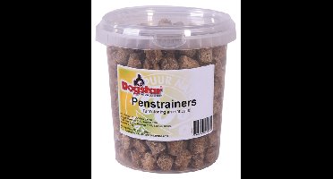 DOGSTAR PENSTRAINERS 850 ML