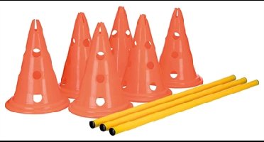 TRIXIE DOG ACTIVITY HORDENSET 2 ST