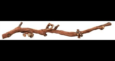 TRIXIE DRUIVENTAKKEN 40-60 CM 5 ST