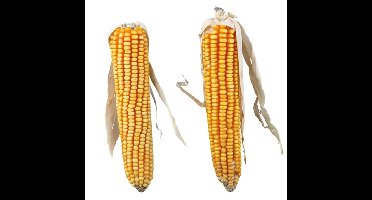 TRIXIE MAISKOLVEN MET BLAD 2 ST