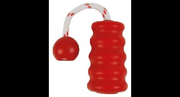 TRIXIE DOG ACTIVITY MOT-FUN AQUA SPEELGOED DRIJVEND ROOD ASSORTI 22X9 CM