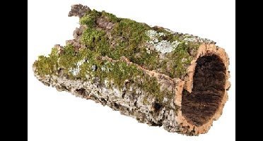 TRIXIE REPTILAND KURKTUNNEL 75X30X30 CM 2 ST