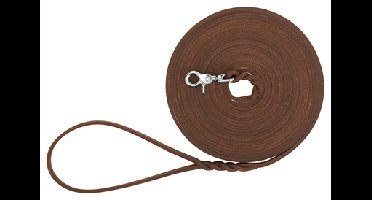 TRIXIE HONDENRIEM RUSTIC SLEEPLIJN VETLEER DONKERBRUIN 10 MTRX0,8 CM