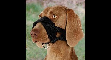 TRIXIE SNUITJE NYLON ZWART 20-30 CM 2 ST