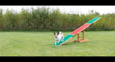 TRIXIE AGILITY WIP 300X34X54 CM