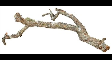 TRIXIE REPTILAND TRONCHOS KURKTAKKEN MIX 15X1 KG