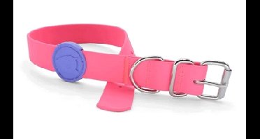 MORSO HALSBAND HOND WATERPROOF GERECYCLED PASSION PINK ROZE 38-46X1,5 CM
