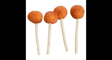 TRIXIE PREMIO LOLLY MET KABELJAUW 9 CM 60 ST