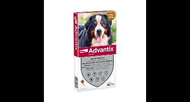 ELANCO ADVANTIX SPOT ON 600/3000 40+ KG - 4 PIP