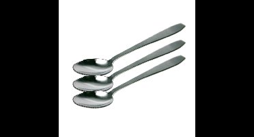 Kiwi Lepels 3 Stuks RVS