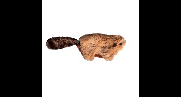 KONG KAT CATNIP BEVER 16,5X4,5X4 CM