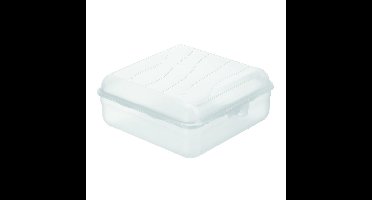 Rotho Fun Lunchbox Vierkant 2.35L Transparant
