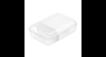 Rotho Fun Lunchbox met Verdeelschotje 0.9L Transparant