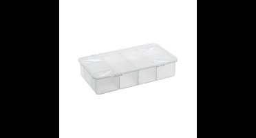 Rotho Snappy Box 3L Transparant