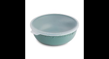 Rotho TRESA Schaal + Deksel 1.02L Mistletoe Groen