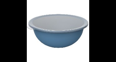 Rotho Schaal met Deksel 4.8L Horizon Blauw