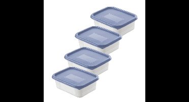 Rotho Domino Diepvriesdozen Etiket Decor 4x0.5L Horizon Blauw/Wit