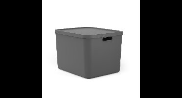 Rotho Albula Multibox 55L Antraciet