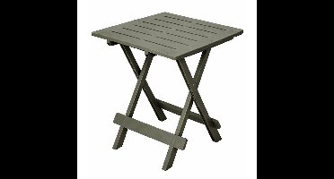 Pro GardenCampingtafel 50x43x43 Saliegroen/Kunststof