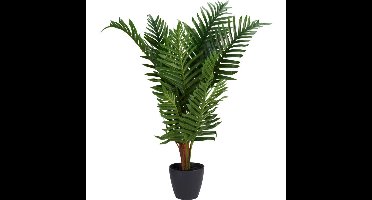 Kunstplant Palm 50x85 cm Groen